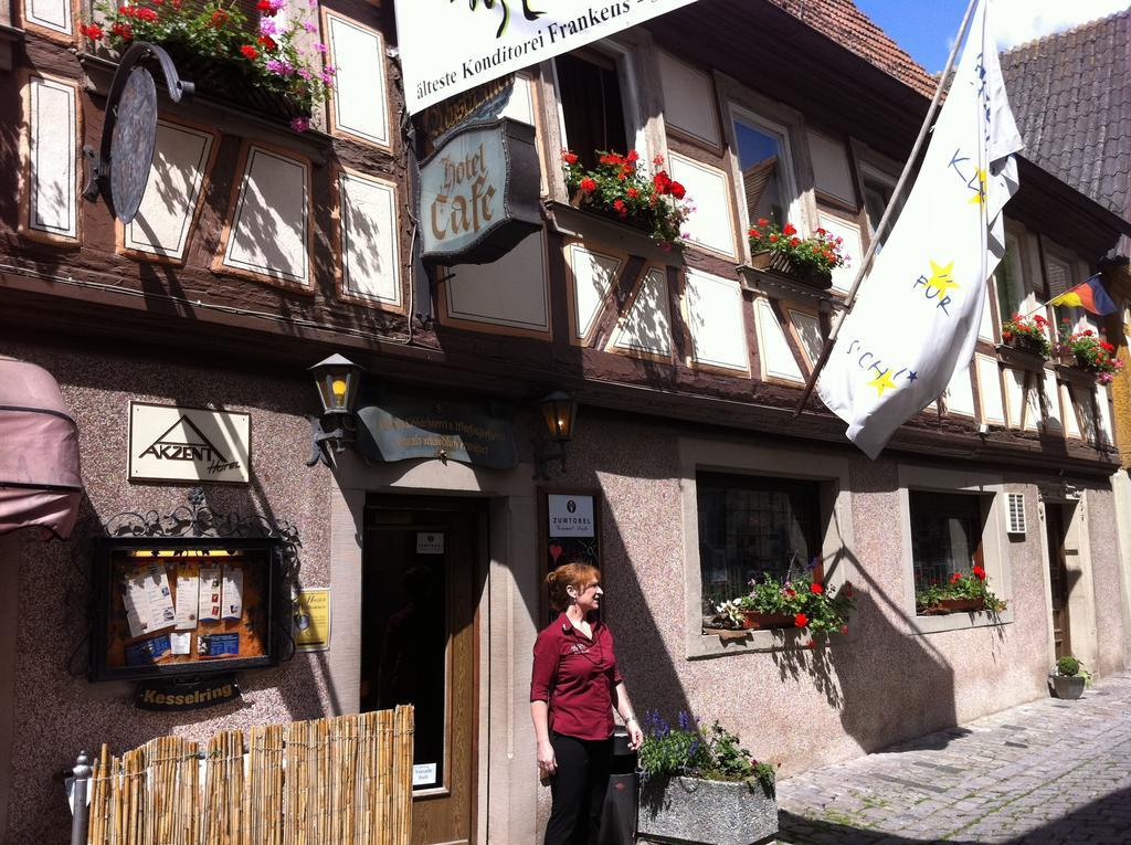 Akzent Hotel Am Bach Деттельбах Экстерьер фото
